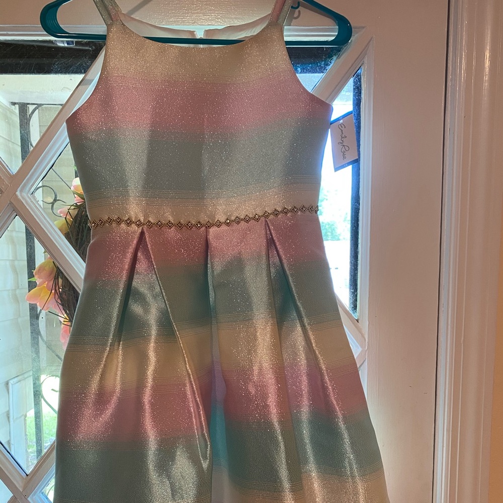 NWT girl’s dress size 12